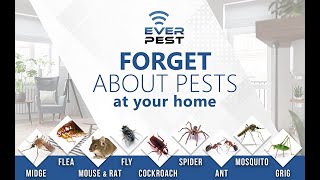 Ever Pest - Ultimate Pest Guard