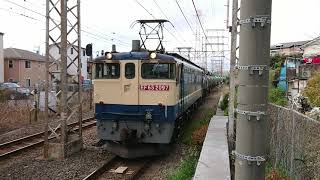 3月22日小田栄駅 新鶴見A30運用 8460レ EF65-2097 国鉄色 赤プレート