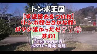 四万十　トンボ王国　【学遊館あきついお（トンボ館とさかな館）】は凄かった👍。