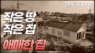 [서귀포부부 임장다큐] 사람 살기 딱 좋은 서귀포의 작은 땅, 작은 집, 애매한 구조, 아쉬운 가격 #채널서귀포부부 #제주도임장여행