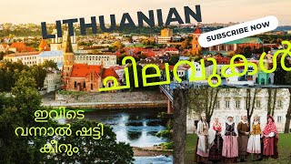 ഒരു യൂറോപ്യൻ കൺട്രിയിൽ നമുക്കുണ്ടാകുന്ന ചെലവുകൾ 🤑😧| കളവുകളും ചതിവുകളും