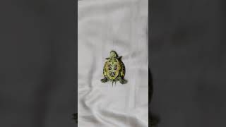 巴西龜🐢翻車 救命！［龜仔的日常］Tortoise seeking for help 🆘