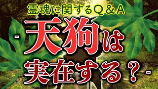 霊魂に関するＱ＆Ａ - 天狗は実在する？ -