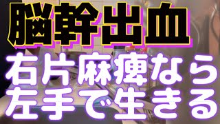 第三章、右片麻痺、脳幹出血、右手がダメなら左手があるさ、猫寝さんの真似🐈※料理っちゃ料理ですね