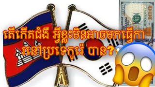 តើមានបញ្ហាអ្វីខ្លះ ធ្វើអោយយើងមិនអាចមកធ្វើការប្រទេសកូរ៉េបាន?😱😱😱😱😱😱😱