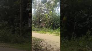 hit khe baikha 😱😱#shorts#viral#video