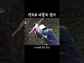 망치로 버들치 잡기 shorts