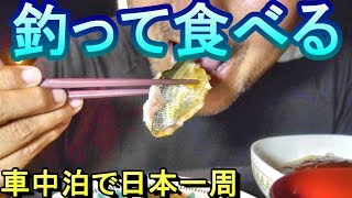 【釣り食べ】三角港緑地公園（熊本県宇城市）でコノシロ釣って食べる！