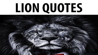 Lion Quotes 4