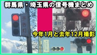 【信号機】群馬県・埼玉県の信号機まとめ 今年1月と去年12月撮影