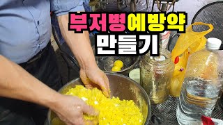 부저병예방약 만드는방법