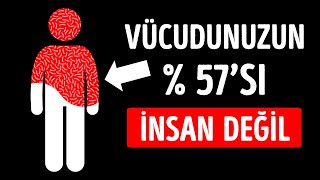 Vücudunuzun Yarısından Fazlasını İnsan Olmayan Bir Şeyle Paylaşıyorsunuz