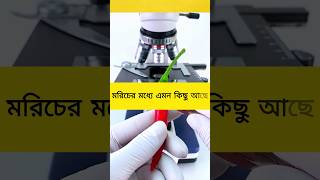 মাইক্রোস্কোপের নিচে মরিচ যা পেলাম, আপনি বিশ্বাসই করতে পারবেন না #microscope #facts #youtubeshorts