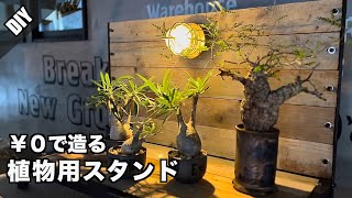 【廃材０円】SDGs観点で作る植物用スタンド【簡単DIY】