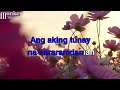 ikaw ang aking mahal vst u0026 company karaoke hd