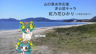 虹ケ浜紹介