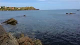 Message in a Bottle Thrown from Broad Cove NL