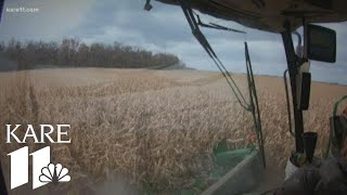 Minnesota farmers ready to turn the page to 2020