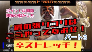 第10回【月刊『トラの穴』肩張りコリpart3実践！】治し方　関節　デスクワーク　ストレッチだめ　理由　マスクDEタイガー　理学療法　タウトニング