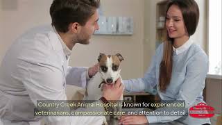 Compassionate Pet Care, Veterinarian in Allen TX | Country Creek Animal Hospital