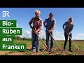 Zuckerrüben aus biologischer Landwirtschaft: Unkrautbekämpfung mit Farmroboter | Unser Land | BR