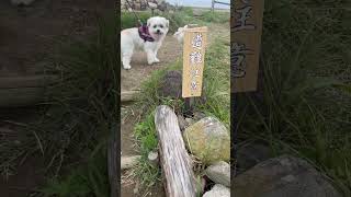 2024.10.4 日本一の山に登りました⁉️ 標高３メートルの日本一低い山🤣