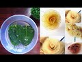 Skeleton leaves rose making craft/How to make Skeleton leaves/DIY Skeleton Leaves/Skeleton leaf art