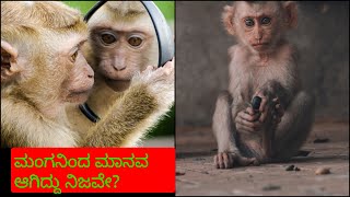 ಮಂಗನಿಂದ ಮಾನವ ಆಗಿದ್ದು ನಿಜವೇ?