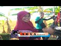 DERMAYU/PAPUA - VOC. SOPIA - PSM – 28 SEPTEMBER 2017 – DS. KALI KULON ( ARYA PRODUCTION )