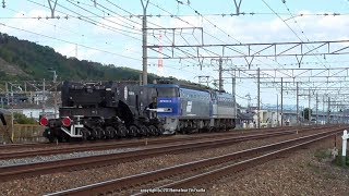 JR貨物　京都鉄道博物館特別展示車両 EF200＆シキ800送込みを撮影（R1.11.12)