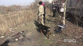 Поліцейські затримали двох парубків, підозрюваних у вбивстві 18-річного житомирянина