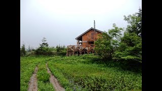 2019 07 06高山植物が咲く、三ツ石山（裏岩手）