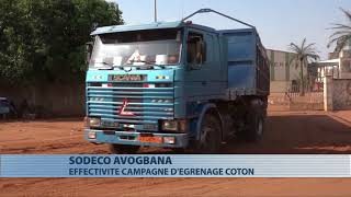 Constat de l'égrenage du coton dans l'usine d'Avogbana