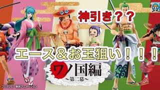 【1番くじ】ワンピース10回引いてエース＆お玉狙い！！！