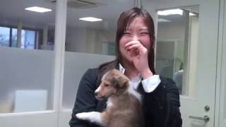 担当犬との出会い~穴吹動物看護カレッジ~