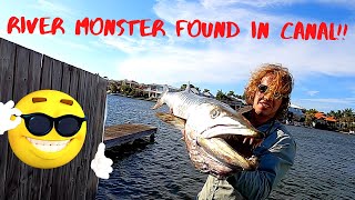 RIVER MONSTER FOUND IN NOOSA CANAL | BIG TREVALLY CAUGHT