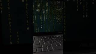 TERMINAL HACKING USING CMATRIX