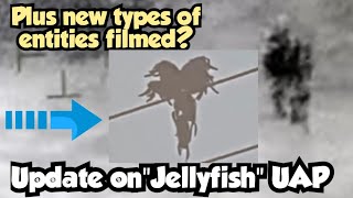 Update on jellyfish UAP plus a few new strange Jellyfish like UFOs/UAP