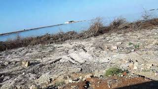 Dhanushkodi On The Way ! Raameshwaram !! Tamil Nadu