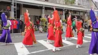 チーム満天星☆　天翔　2013 4 29 鳥取市花の祭