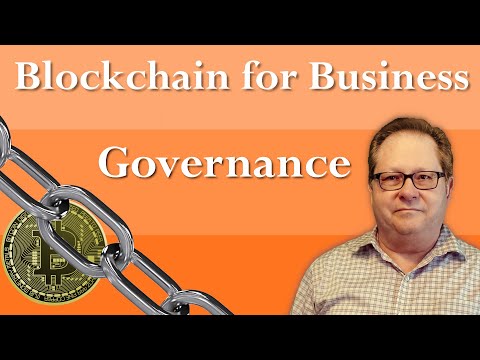 Using Blockchain Governance to Develop a Minimum Viable Product