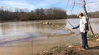 Carolina Diggers ~ Magnet Fishing at Yadkin River Park