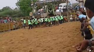 Angiyanur jallikattu(02.05.2018)....angiyanur pichchaipillain sevalaiyin  aatam....