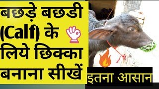 गाय भैंस के बछडे के लिए मोहरी कैसे बनाए|How to Make Halter Rope for Cow Buffalo Calf|