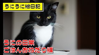 今日のごはんおねだりも抜群にかわいすぎる猫