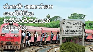 Ragama horape train|රාගම හොරපෙ කෝච්චි පාර සහ කොච්චිය 😍🤩 #train #trending #ragama