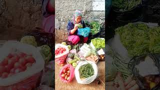 Spil hasil Mulung yang banyak tomatnya