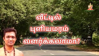 வீட்டில் புளியமரம் வளர்க்கலாமா?