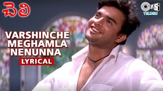 Varshinche Meghamla Nenunna Lyrical  Song | Cheli Movie | Madhavan | Reema Sen |