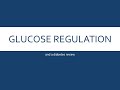 Glucose Regulation and Diabetes - clinical chem review